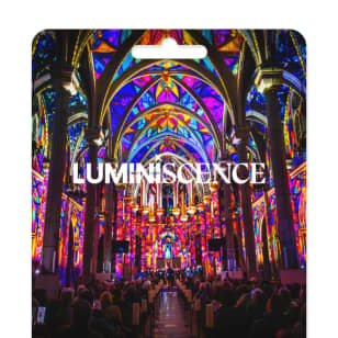 LUMINISCENCE New York City: una spettacolare fusione di luce, musica e narrazione - Carta regalo