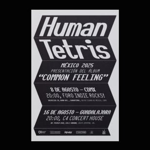 Human Tetris en CDMX