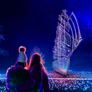 Neverland at Kenwood