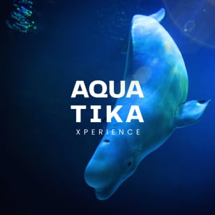 AQUATIKA Xperience