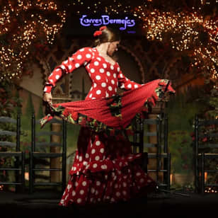 ﻿Madrid: Flamenco show at Tablao Torres Bermejas