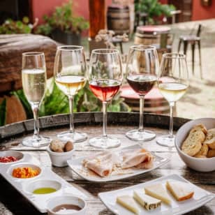 Musée du vin de Ténérife : Visite et dégustation