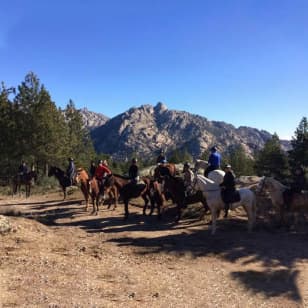 ﻿Horseback riding in a unique environment