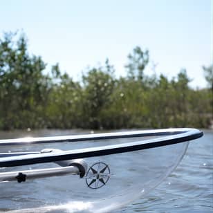 2-Hour Glass Bottom Guided Eco Tour in Flagler County-Small-group