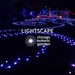 Lightscape at Chicago Botanic Garden