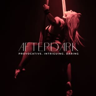 After Dark by Pink Puma - Waitlist