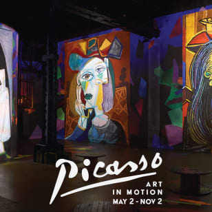 Picasso: Art In Motion | Group Booking (Groups of 10-50)