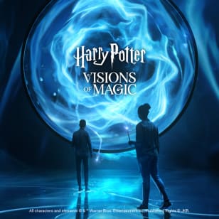 Harry Potter: Visions de la magie