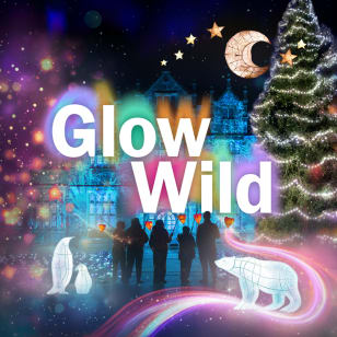 Glow Wild at Kew Wakehurst, Sussex
