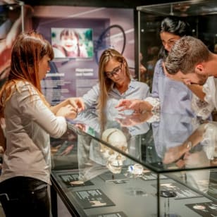 KÖRPERWELTEN Museum Heidelberg – Anatomie des Glücks