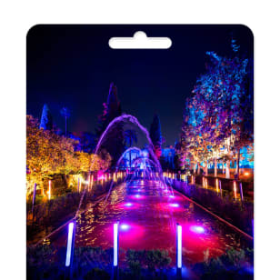 Nature Ignited: Carmen de Bizet - A Light and Immersive Tour - Gift Card
