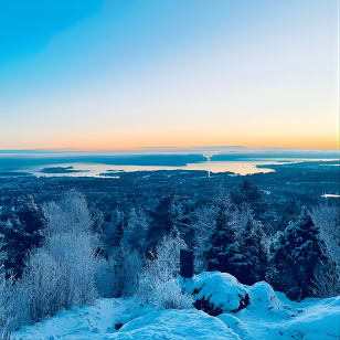 4 hours Winter View of the Oslofjord Walk Tour