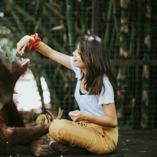 Lombok Wildlife Park: Intimate Wildlife Experience
