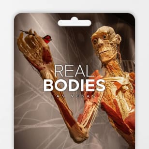 Real Bodies: un viaggio attraverso l'esperienza umana - Carta regalo
