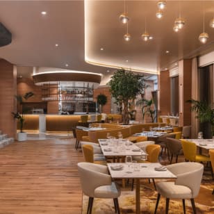 Disco Delight: Jantar e Festa | ViseVersa, Hyatt Regency Lisboa