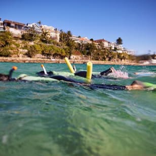 Manly Snorkel-Trip und Nature Walk mit lokalem Führer