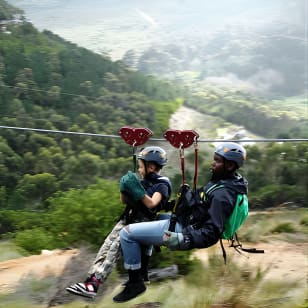 Zipline Cape Town - From Foot of Table Mountain Reserve