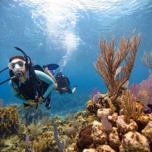 BARCELONA: BAUTIZO DE BUCEO - Submergeix-te i viu l'experiència sota l'aigua - 2h