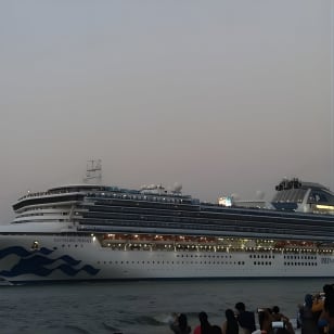 Half-Day Private Taxi Tour in Kochi