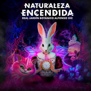 Naturaleza Encendida: Alicia en el País de las Maravillas