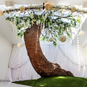 Las Vegas Wedding Photo Tour up to 14 guest