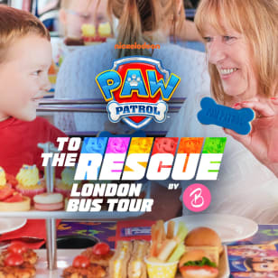 PAW Patrol Afternoon Tea Bus Tour