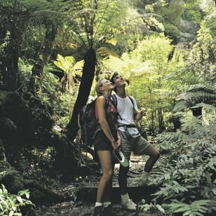 Sunset Blue Mountains Wilderness & Wildlife Tour (Ohne Menschenmengen)
