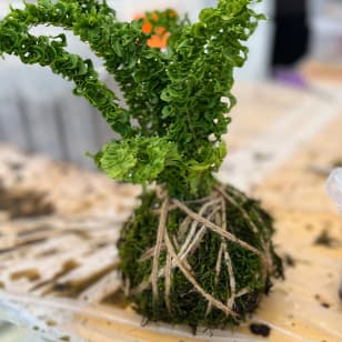 Corso di Kokedama