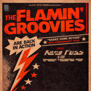 FLAMIN’ GROOVIES