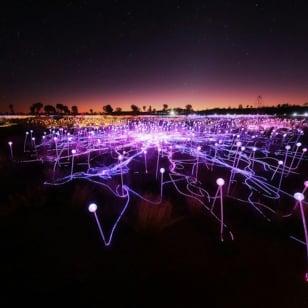 Field of Light Uluru: Star Pass