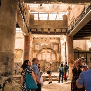 Ercolano: Biglietto d'ingresso + visita guidata