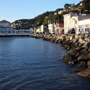 gira 3 en 1: Muir Woods, Sausalito & Visita de medio día a la región vinícola