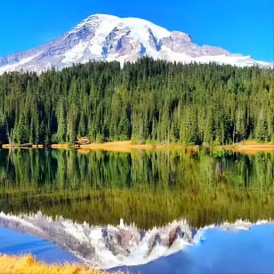 Small Group Mount Rainier National Park Day Tour from Seattle