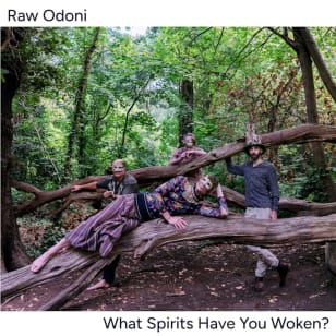 Raw Odoni