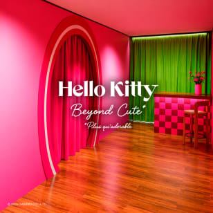 Hello Kitty : Beyond Cute - Paris