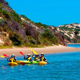Tour in kayak di un giorno nel Parco Nazionale di Coorong