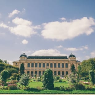 Accesso prioritario alla Grande galleria dell’evoluzione