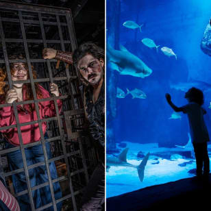 The London Dungeon + SEA LIFE London Aquarium
