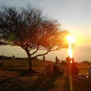 Summer Sunset Bus Tour in Cape Town