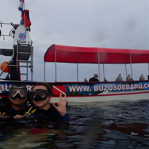 Minicurso de buceo de un día - Discover Scuba Diving