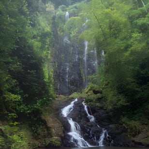 Charco Prieto Hidden Waterfall Adventure from San Juan