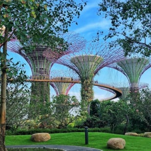 Gardens by the Bay: Guided Tour