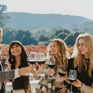 La Ruta Definitiva del Vino de Napa y Sonoma