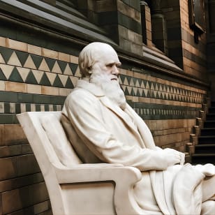 Museo de Historia Natural de Londres - Visita guiada privada al museo