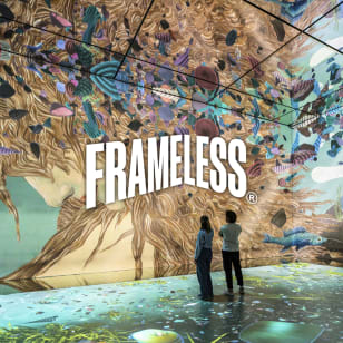 FRAMELESS Self-Led Tours