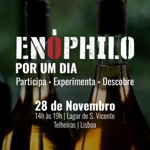Enóphilo por um dia - Lisboa