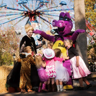 Dutch Wonderland: Happy Hauntings Entry Ticket