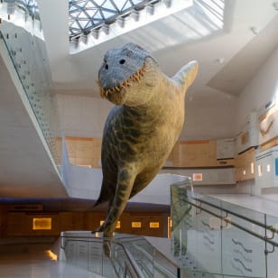 Papalote Museo del Niño + Expo Dinosaurios