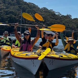 Excursión ecológica guiada en kayak de medio día por el Puerto Medio de Sídney