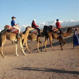 Désert d'Agafay et coucher de soleil à dos de chameau depuis Marrakech